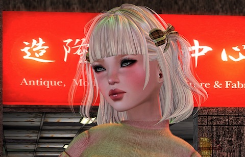 Japanese otaku AI love (Credit: Evangelical Resident, Flicker.com - https://someonelikeyou.org/2016/12/04/still-more-sanarae/)