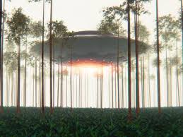 Ariel school incident, ufo, Ruwa, Zimbabwe